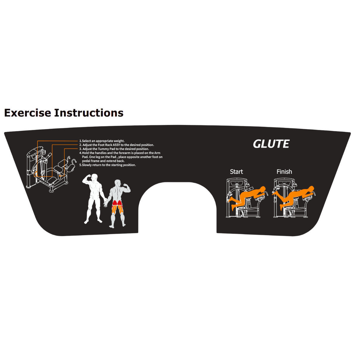 TKO 7018-G2 Signature Series Seated Glute exercises