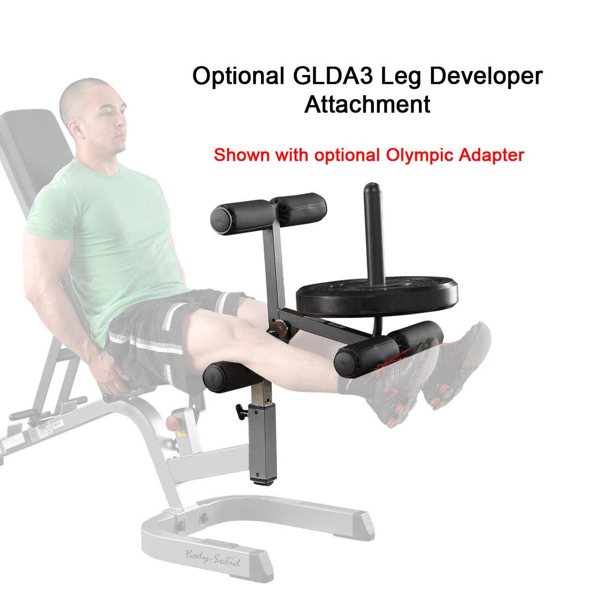 Optional GLDA3 Leg Developer