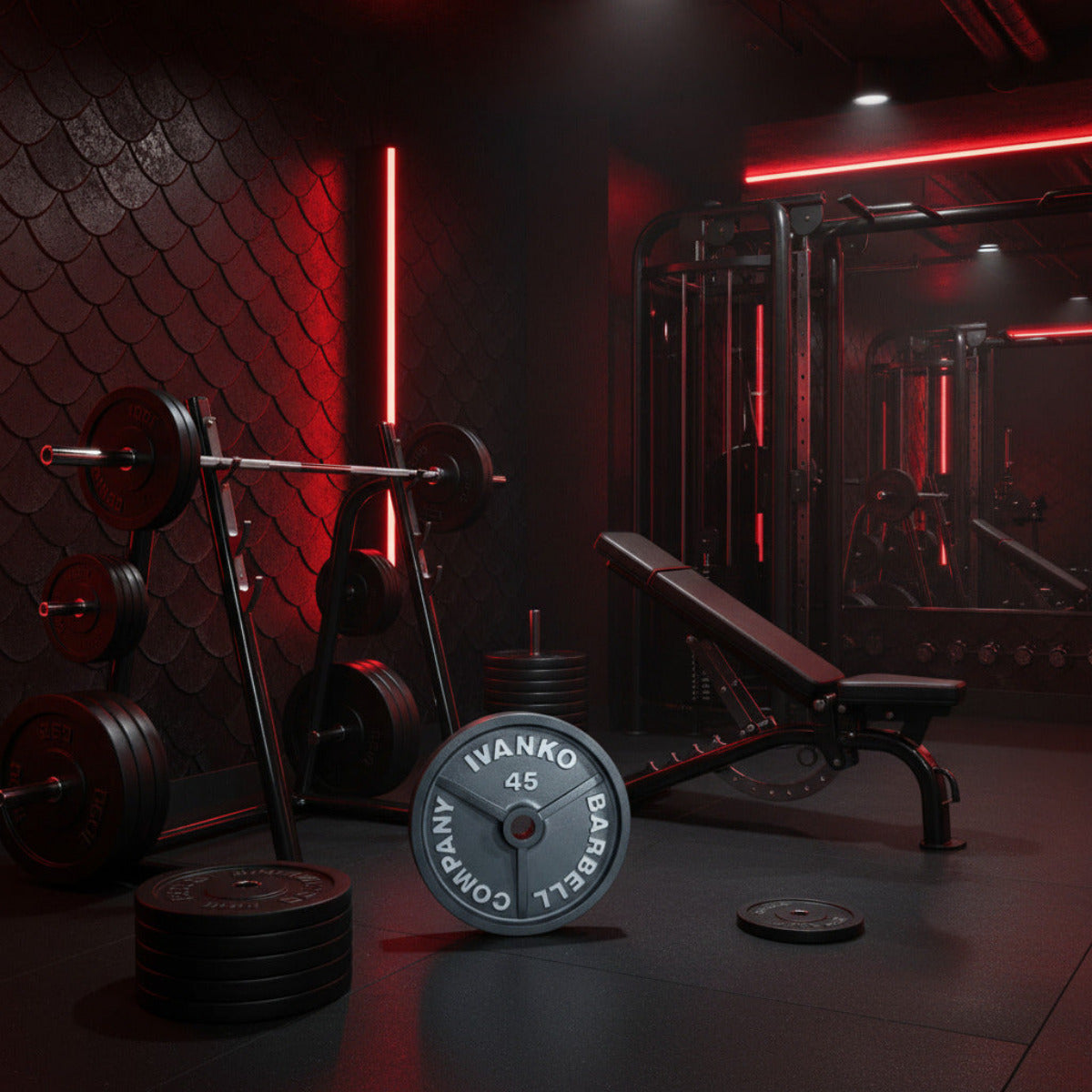 Ivanko Olympic 1985 Grey Machined Plate OM Series in gym