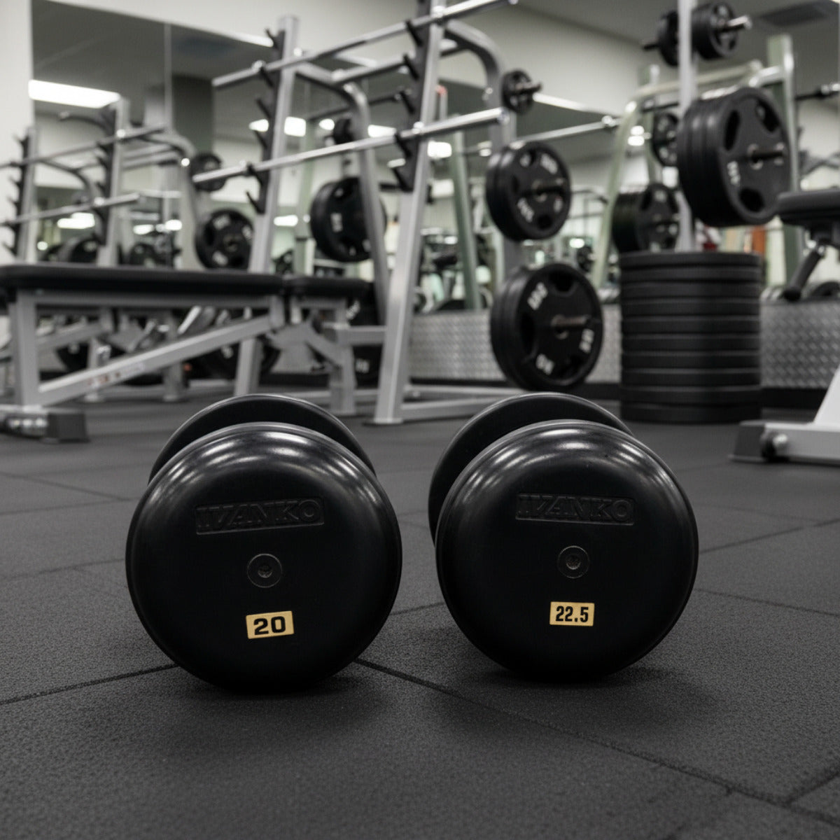 Ivanko RUB/EPR Rubber-Encased Dumbbells in gym