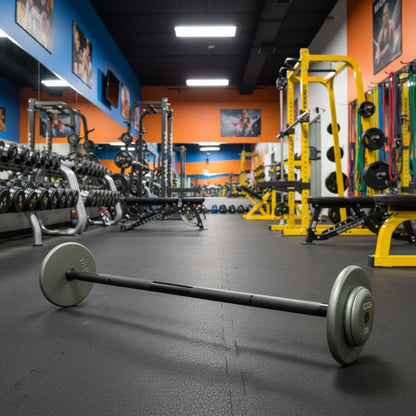 Ivanko Straight SBBH-R-EP-1.25 Fixed Barbell Sets 20 to 110 lb in gym