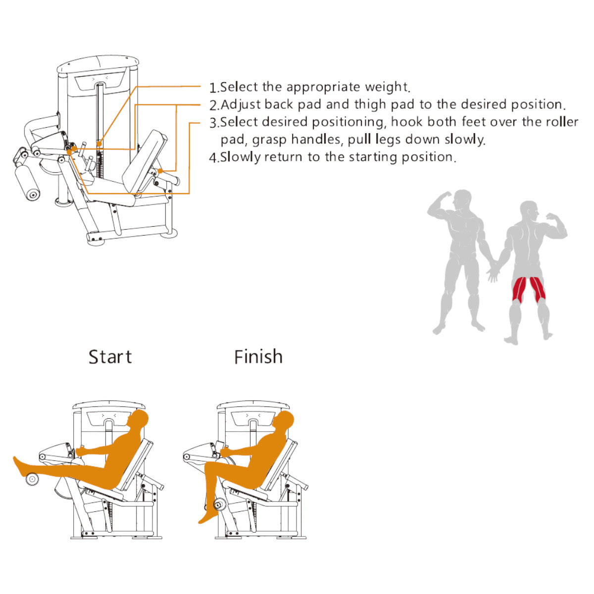 TKO 7012-G2 Signature Series Seated Leg Curl exercise