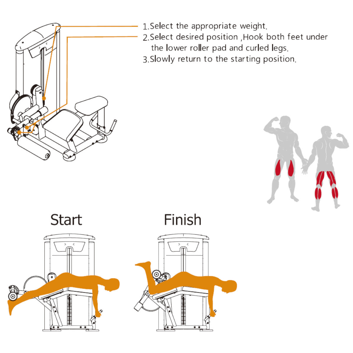 TKO 7013-G2 Signature Series Prone Leg Curl exercise chart