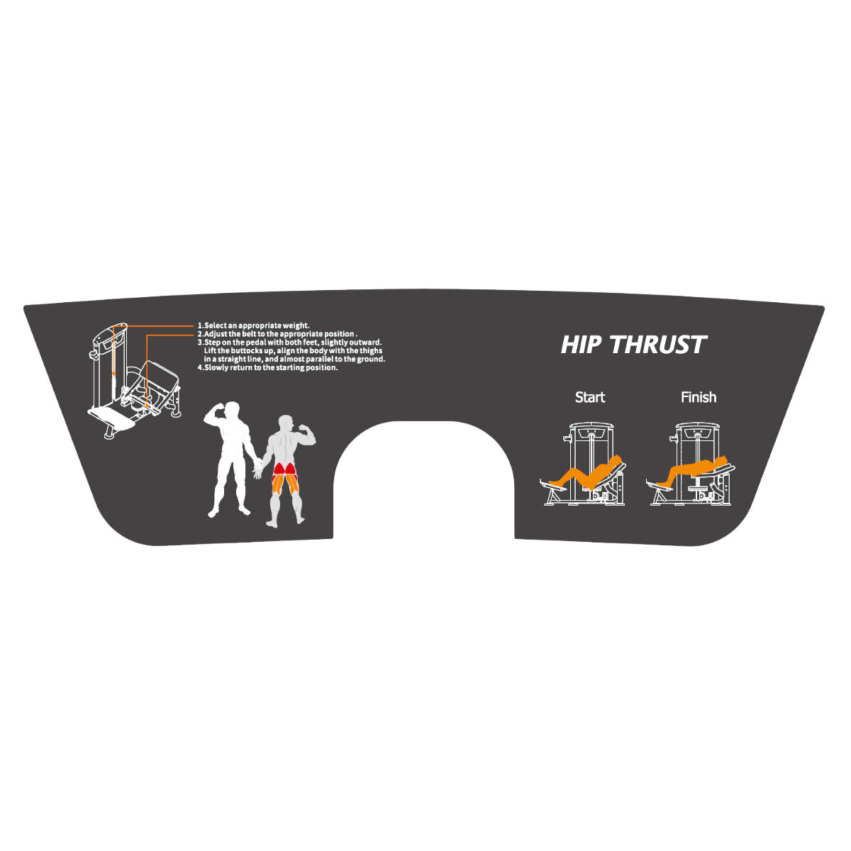 TKO 7017-G2 Signature Series Seated Hip Thrust exercise