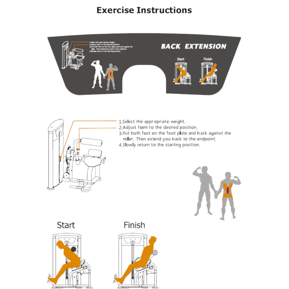 TKO 7023-G2 Signature Series Back Extension exercise