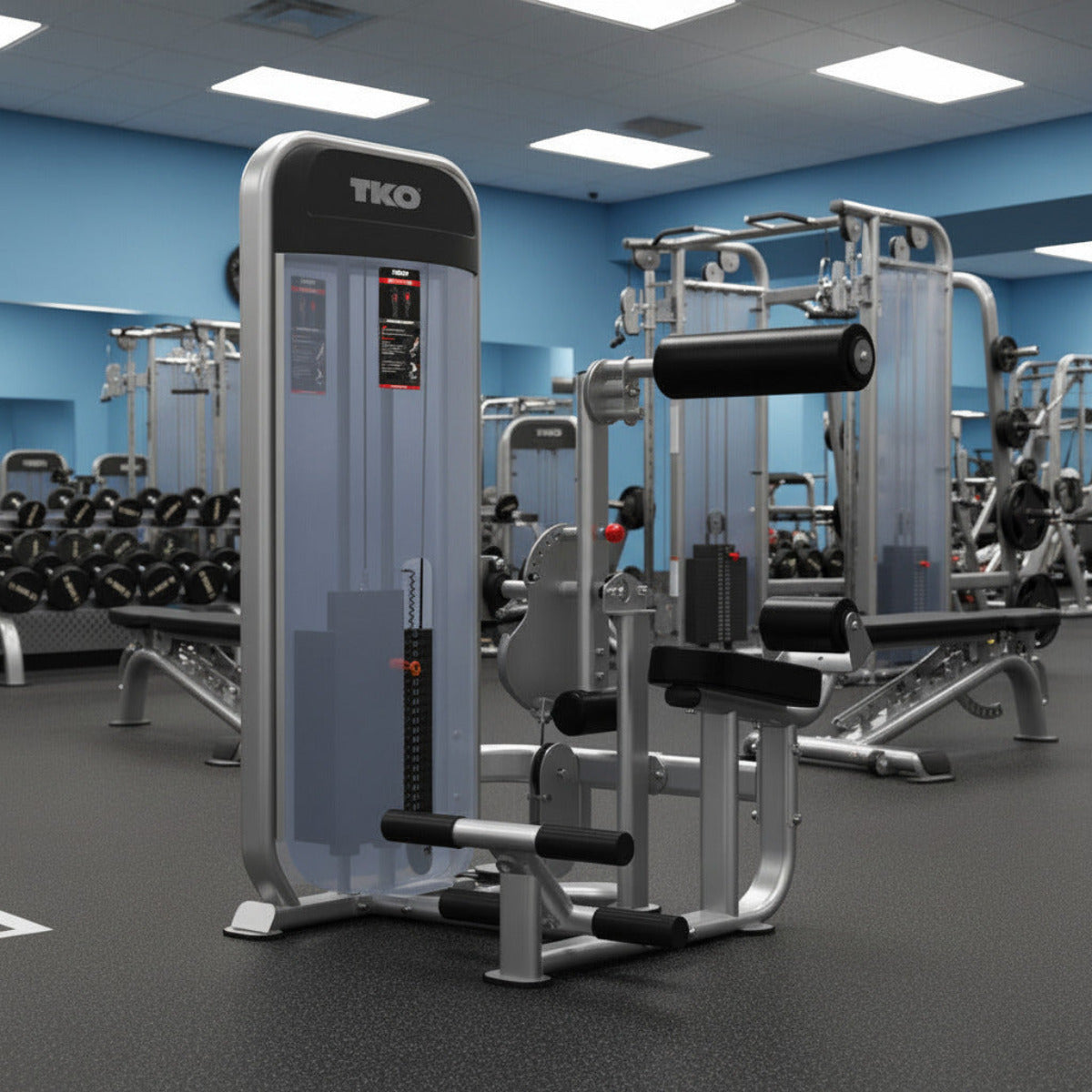 TKO 8804 Achieve Dual Ab / Lower Back in gym