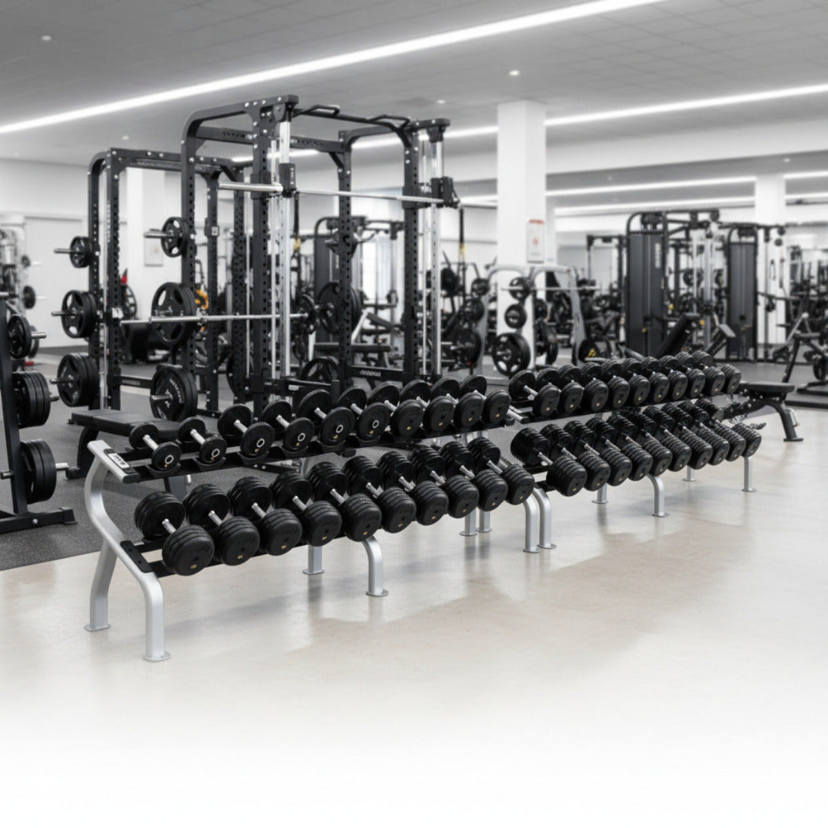 Troy Barbell RUFD 5-100 Rubber Encased Pro Style Dumbbell Set w/Racks in gym