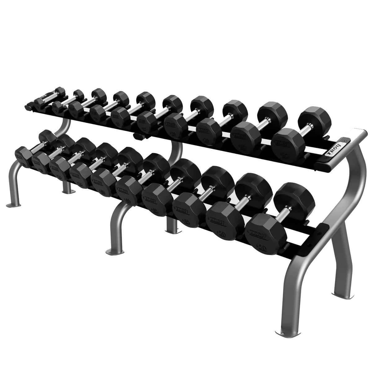 Troy Barbell DR-10 Two Tier Dumbbell Rack Silver shown with TSD-R Dumbbells.