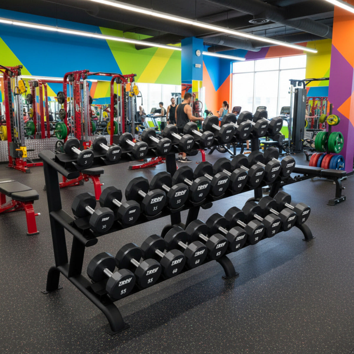 Troy Barbell TSD-U Urethane Encased Dumbbell Set 5 to 75LB with black DR-15 Rack in gym