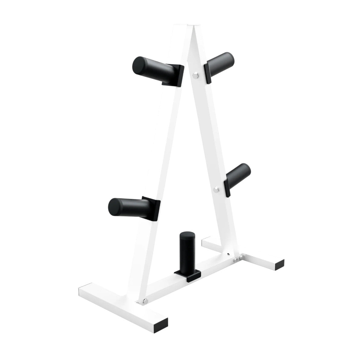 Troy Barbell USA Sports GOSR Economy Olympic Plate Rack angle view.