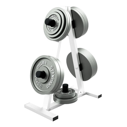 Troy Barbell USA Sports GOSR Economy Olympic Plate Rack shown with weight plates.