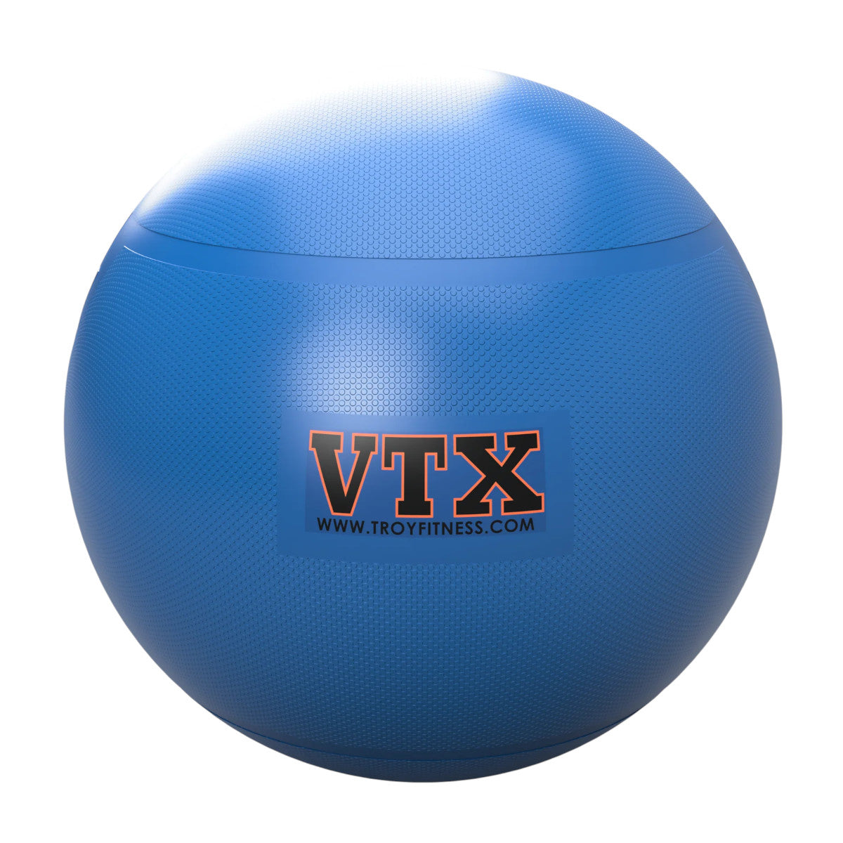 Troy Barbell Stability Ball Blue.