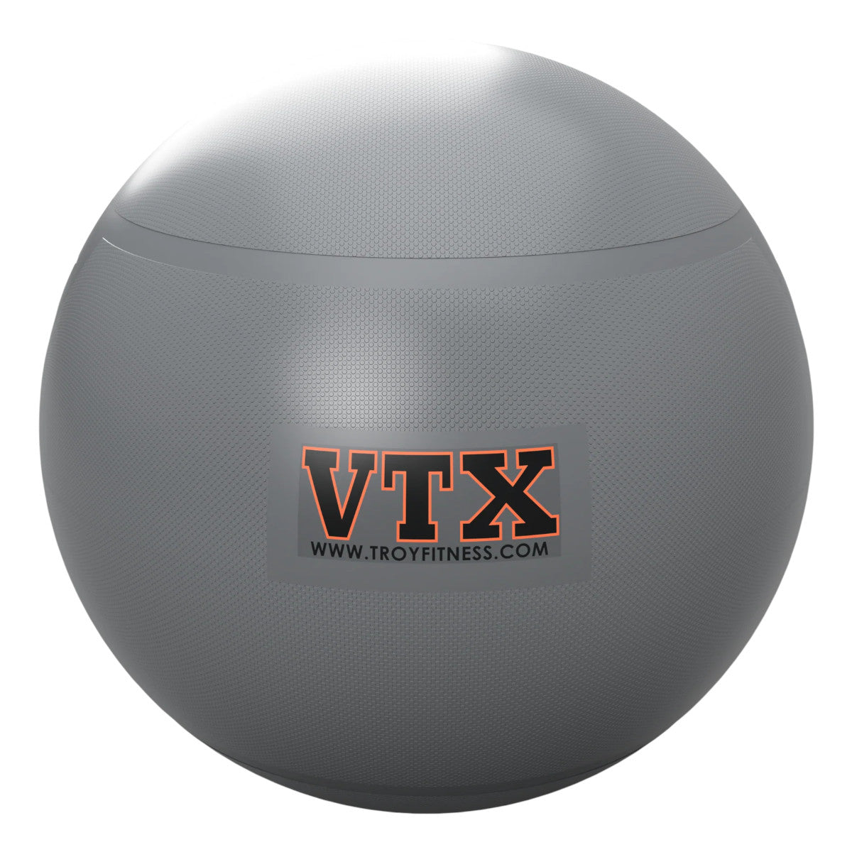 Troy Barbell Stability Ball Gray.