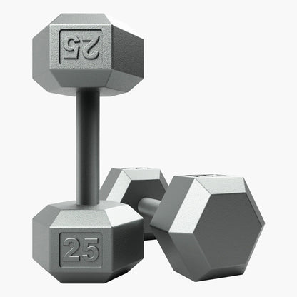 Troy Barbell USA Sports IHD Iron Hex IHD-025 Dumbbell 25 lb.
