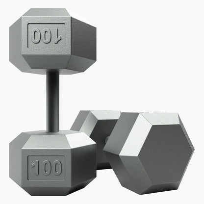 Troy Barbell USA Sports IHD Iron Hex IHD-100 Dumbbell 100 lb.