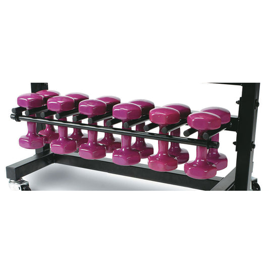 Troy Barbell Aerobic Pac MDR-ACCE Accessory Rack with purple dumbbells.