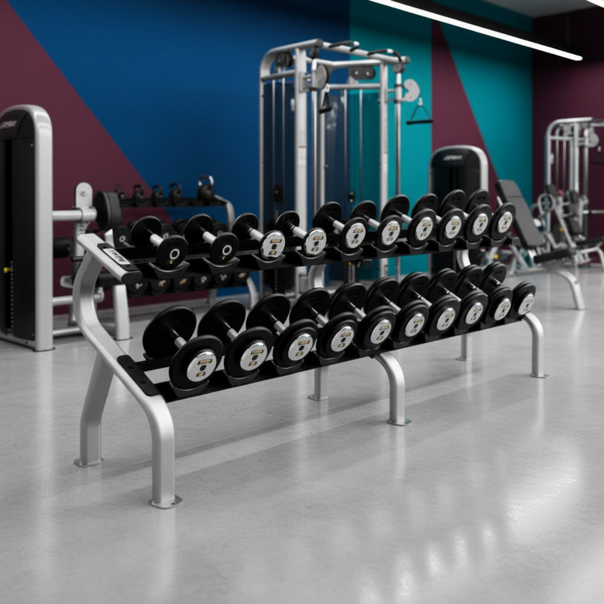 Troy Barbell PFDC 5-50 Pro Style Black Contour Dumbbell Set w/Rack in gym