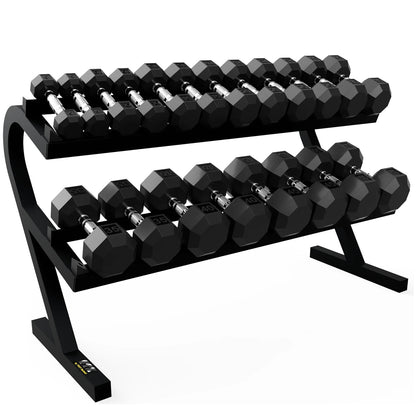 Troy Barbell VTX T-DR Two Tier Horizontal Dumbbell Rack shown with SD-R Dumbbells.