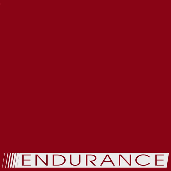Body-Solid Endurance T150 Commercial Treadmill video